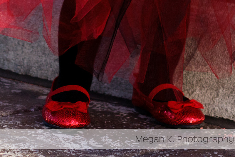 Photo & Video Sharing by SmugMug