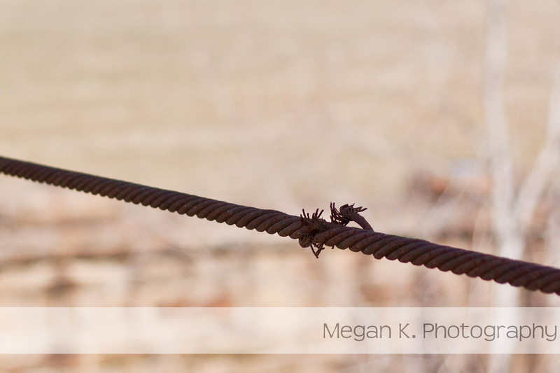 Photo & Video Sharing by SmugMug